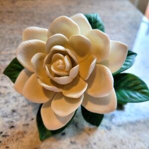 Lenox Gardenia